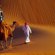 Illustration for article titled Google Has A Street View Camel